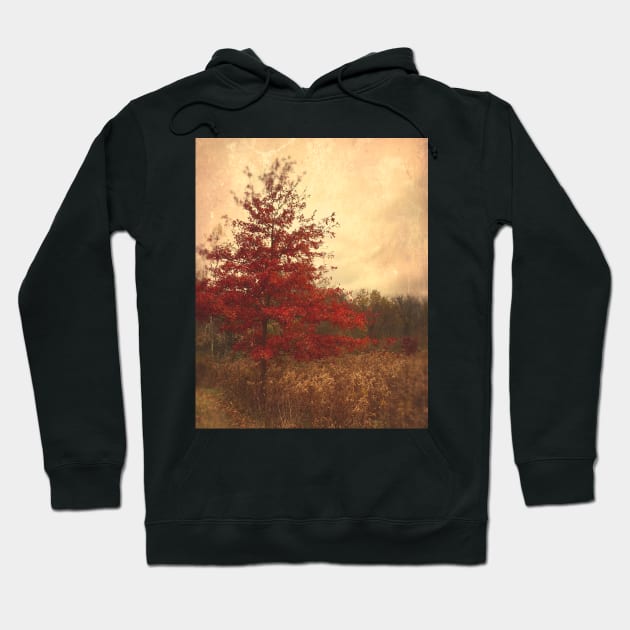 Red Oak Tree Hoodie by oliviastclaire